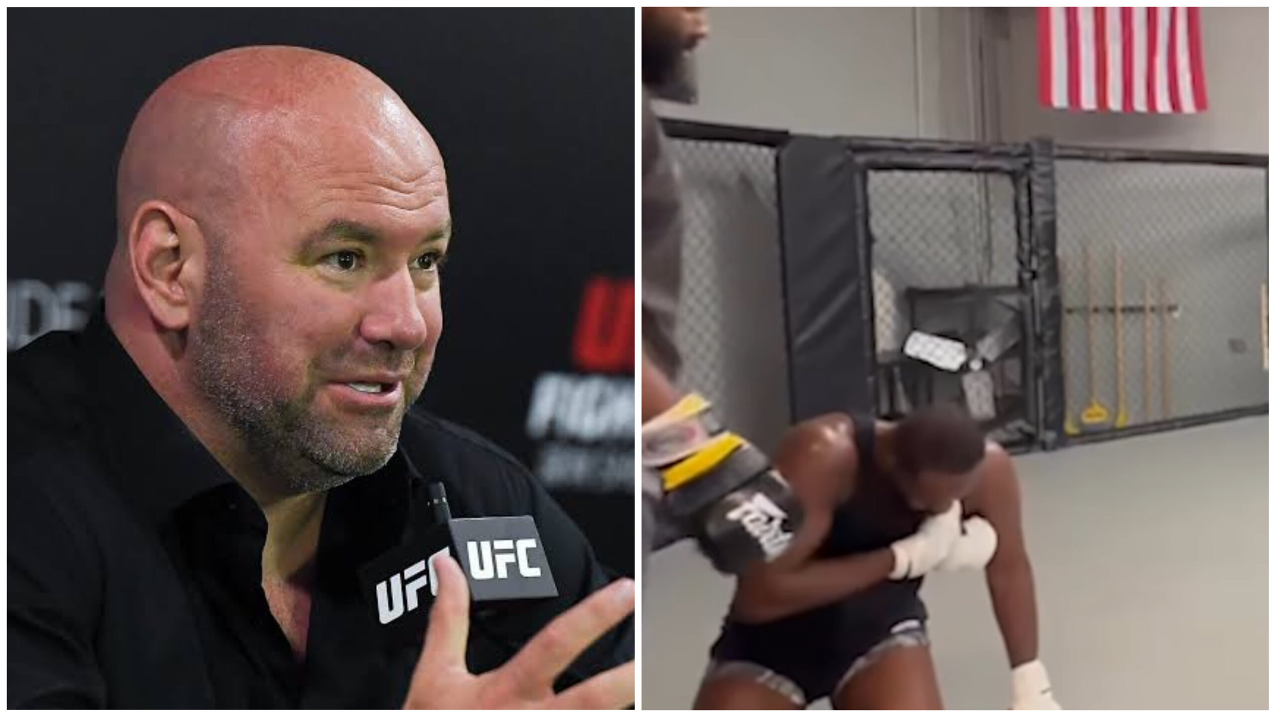 UFC 295: Дана Уайт рассказал, почему Джон Джонс отказался от боя за титул Стипе Миочича