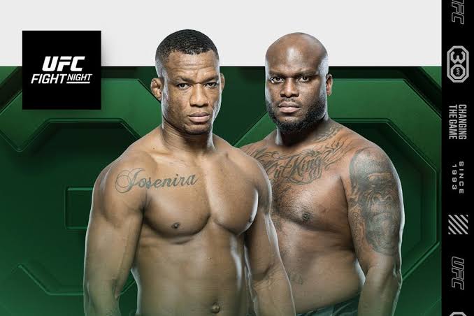 Предварительный просмотр и прогноз UFC Fight Night Алмейда против Льюиса