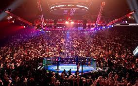 UFC в Остине: дата, место проведения, билеты, полная карта и многое другое