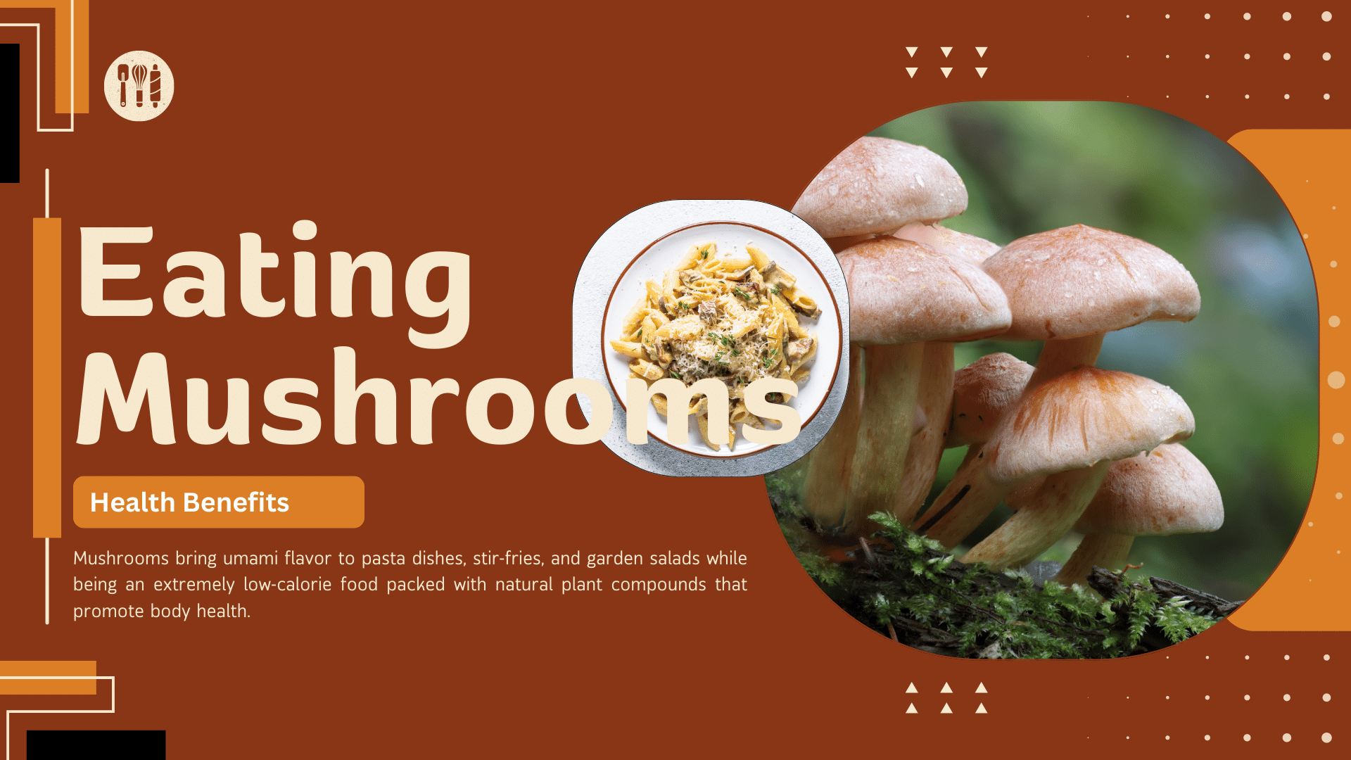 Польза для здоровья от употребления грибов – все, что вам следует знать