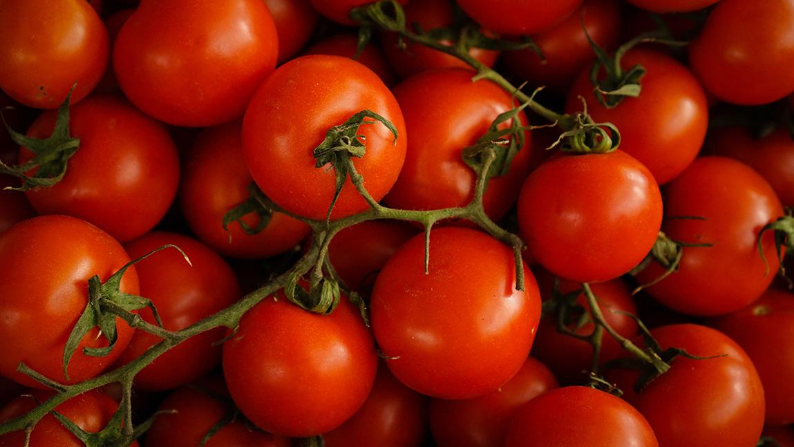 Насколько важно покупать качественные семена томатов