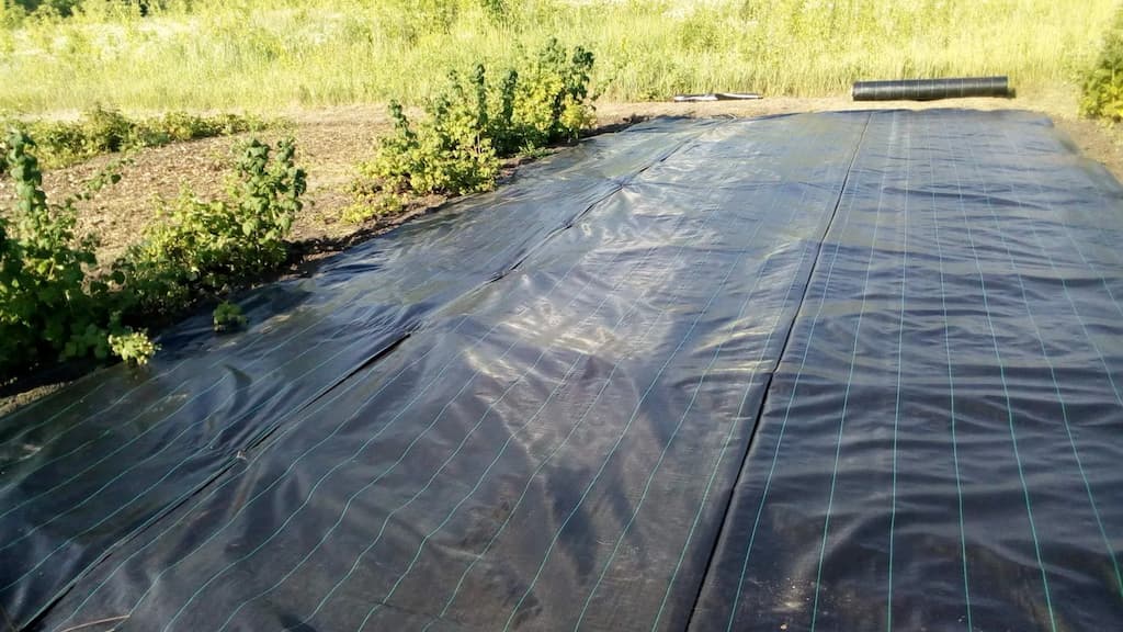 Відмінність між агротканиною та агроволокном: що краще обрати